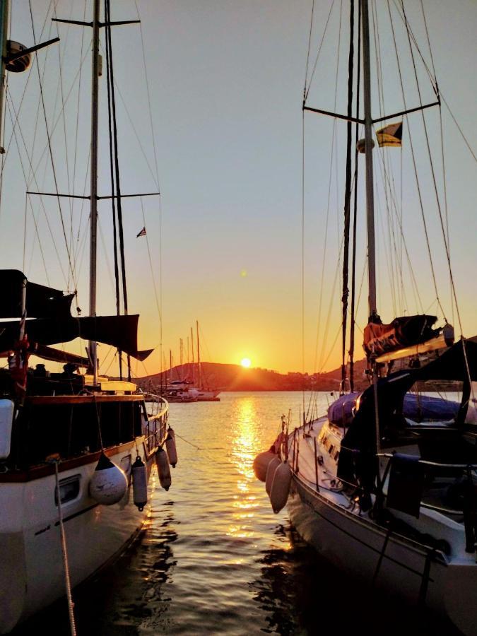 Yacht Front Studio - Back Yard - No 7 Chora  Esterno foto